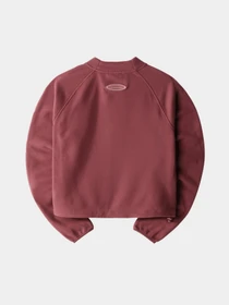 Худи и свитшоты The North Face TKA Mock Neck модель NF0A7URD6R41 Фото