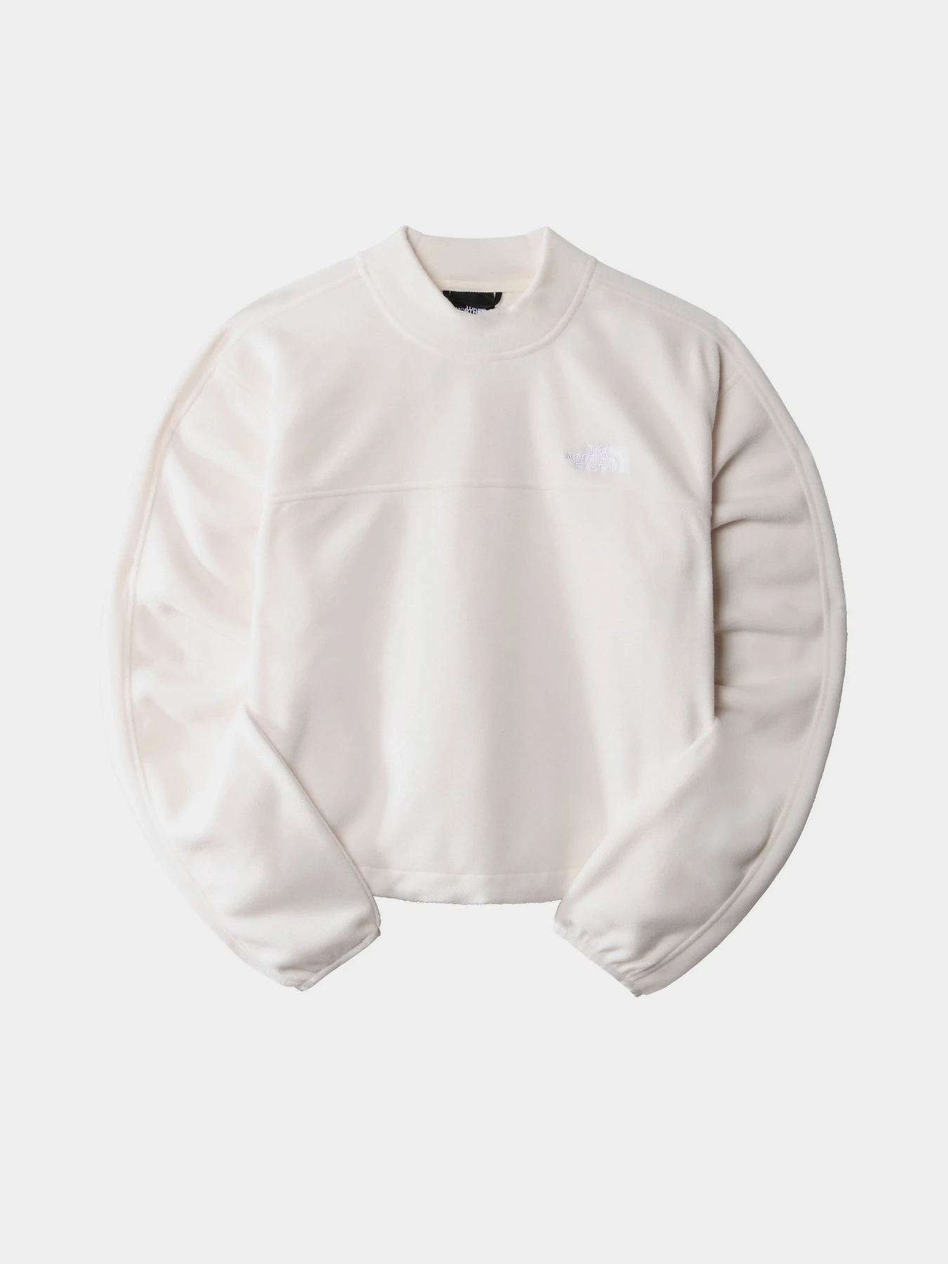 Худи и свитшоты The North Face TKA Mock Neck модель NF0A7URDN3N1 Худи и свитшоты The North Face TKA Mock Neck модель NF0A7URDN3N1 Фото