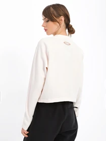 Худи и свитшоты The North Face TKA Mock Neck модель NF0A7URDN3N1 Фото