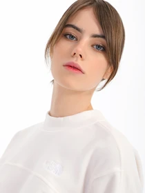 Худи и свитшоты The North Face TKA Mock Neck модель NF0A7URDN3N1 Фото