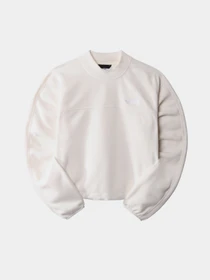 Худи и свитшоты The North Face TKA Mock Neck модель NF0A7URDN3N1 Фото
