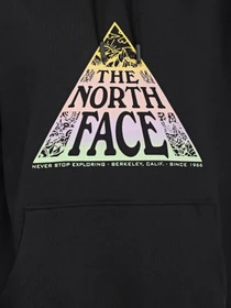 Худи и свитшоты The North Face Regrind модель NF0A7X2QJK31 Фото