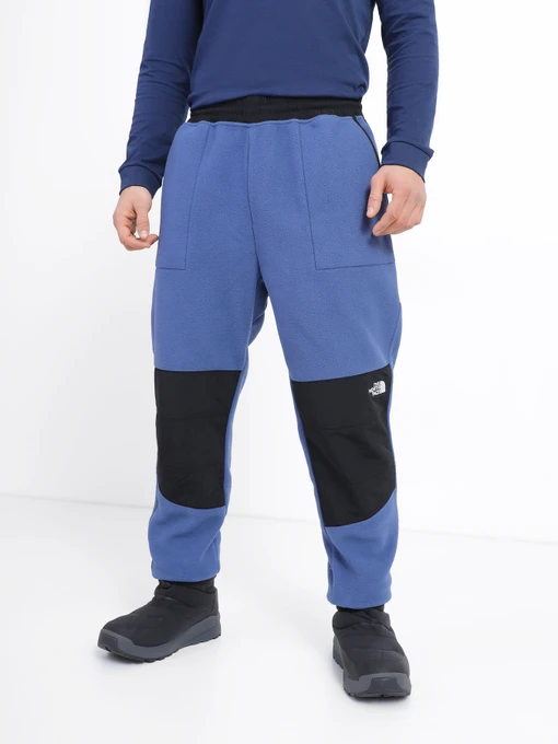 Брюки The North Face Denali модель NF0A7UR5HDC1 Фото