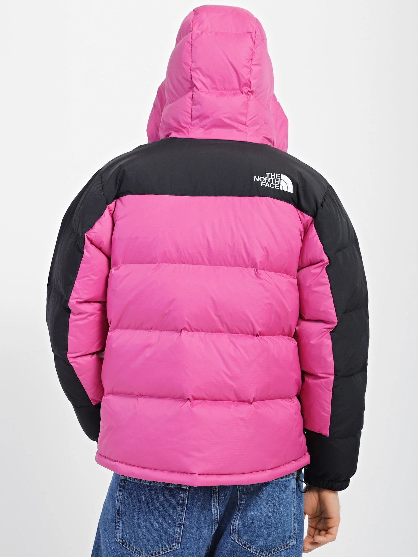 Куртки та дублянки The North Face Himalayan модель NF0A4QYX7481 Куртки та дублянки The North Face Himalayan модель NF0A4QYX7481 Фото