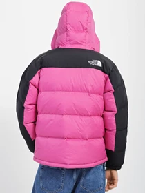 Куртки та дублянки The North Face Himalayan модель NF0A4QYX7481 Фото