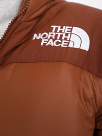Куртки и дубленки The North Face Himalayan Insulated модель NF0A4R356S21 Фото