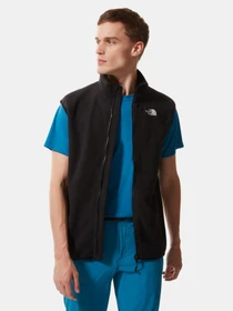 Свитры и кардиганы The North Face 100 Glacier модель NF0A7SSLJK31 Фото