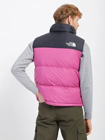 Куртки и дубленки The North Face Nuptse Retro 1996 модель NF0A3JQQ7481 Фото