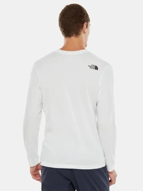 Худи и свитшоты The North Face Simple Dome модель NF0A3L3BFN41 Фото