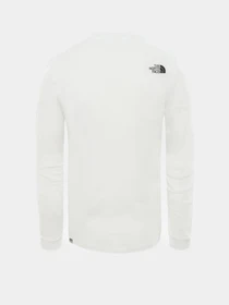 Худи и свитшоты The North Face Simple Dome модель NF0A3L3BFN41 Фото
