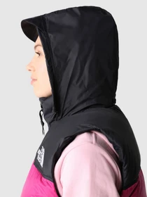 Куртки и дубленки The North Face Nuptse 1997 модель NF0A3XEP1461 Фото