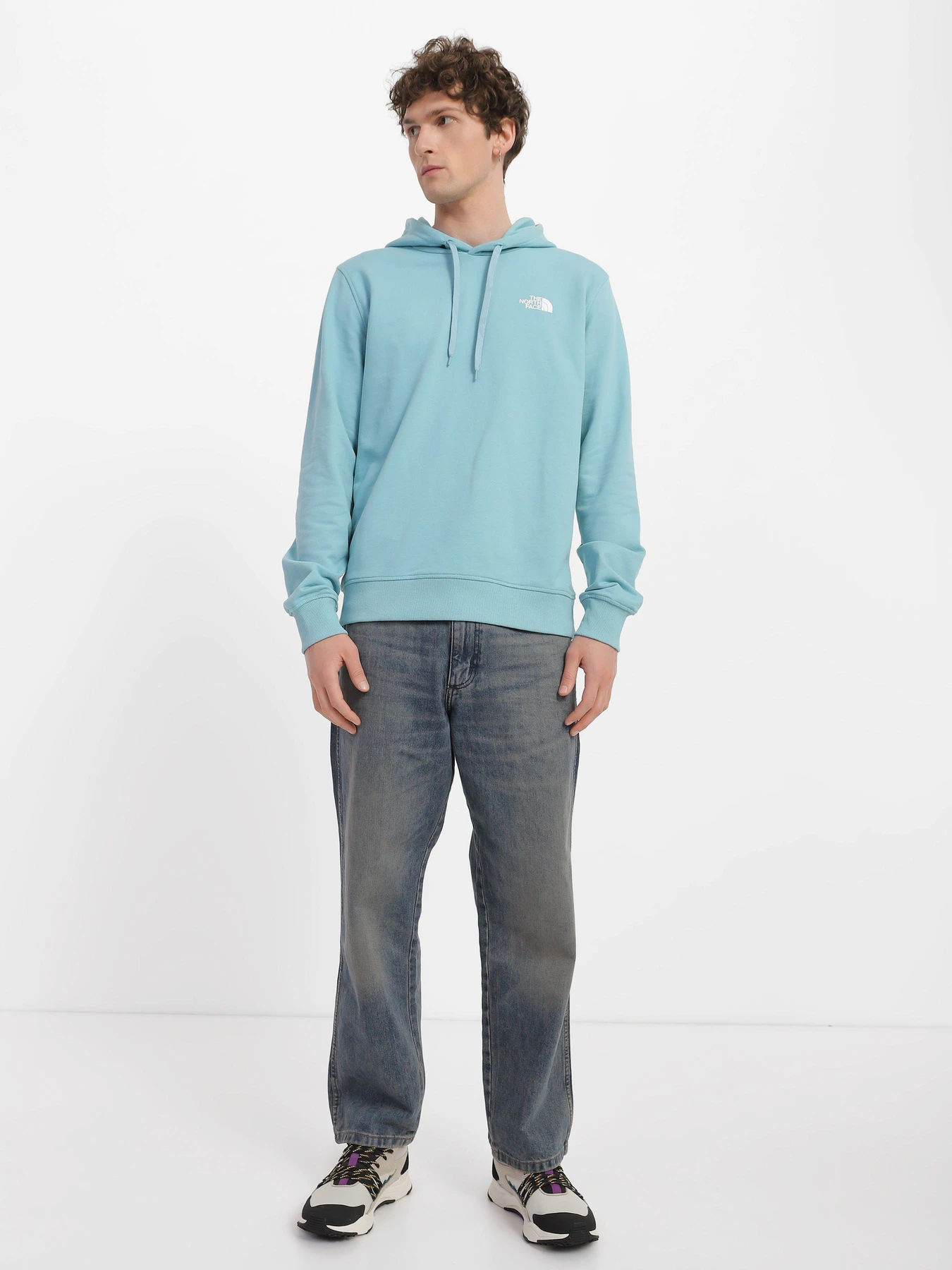 Худі та світшоти The North Face Open Gate Light модель NF0A2S57LV21 Худі та світшоти The North Face Open Gate Light модель NF0A2S57LV21 Фото