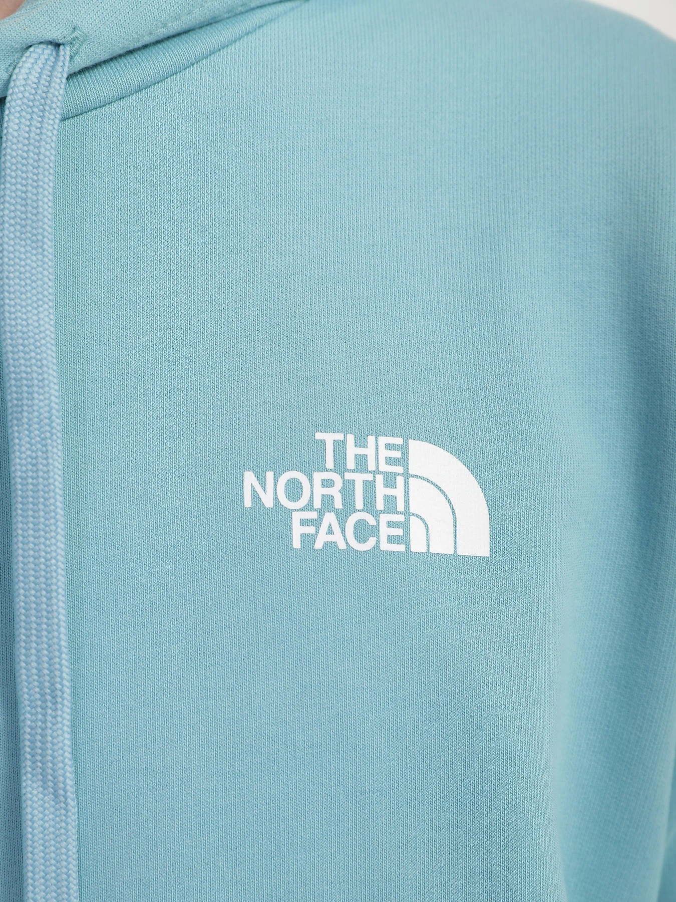 Худі та світшоти The North Face Open Gate Light модель NF0A2S57LV21 Худі та світшоти The North Face Open Gate Light модель NF0A2S57LV21 Фото