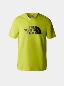 Футболки и поло The North Face Easy модель NF0A2TX38NT1 Фото
