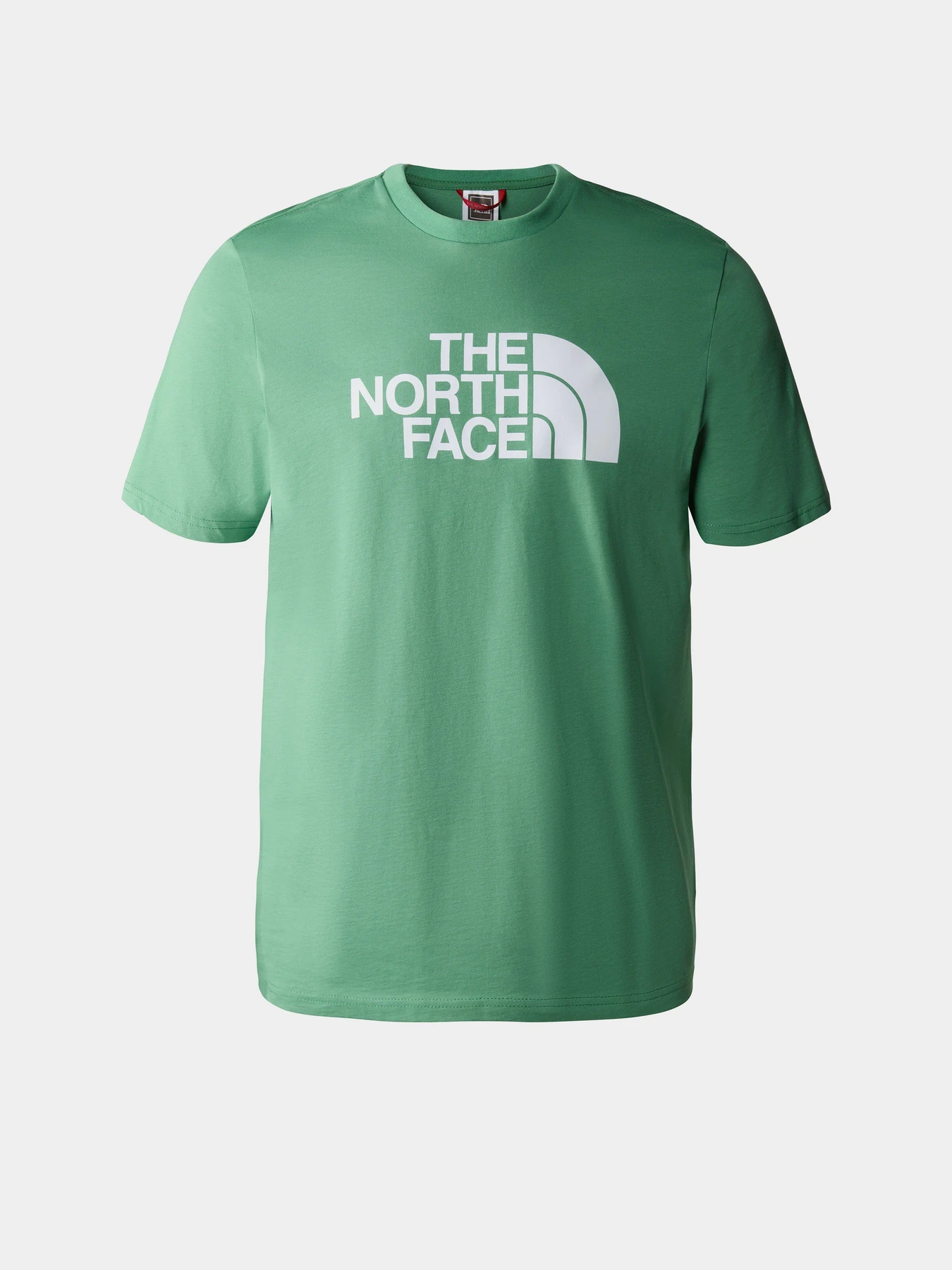 Футболки и поло The North Face Easy модель NF0A2TX3N111 Фото