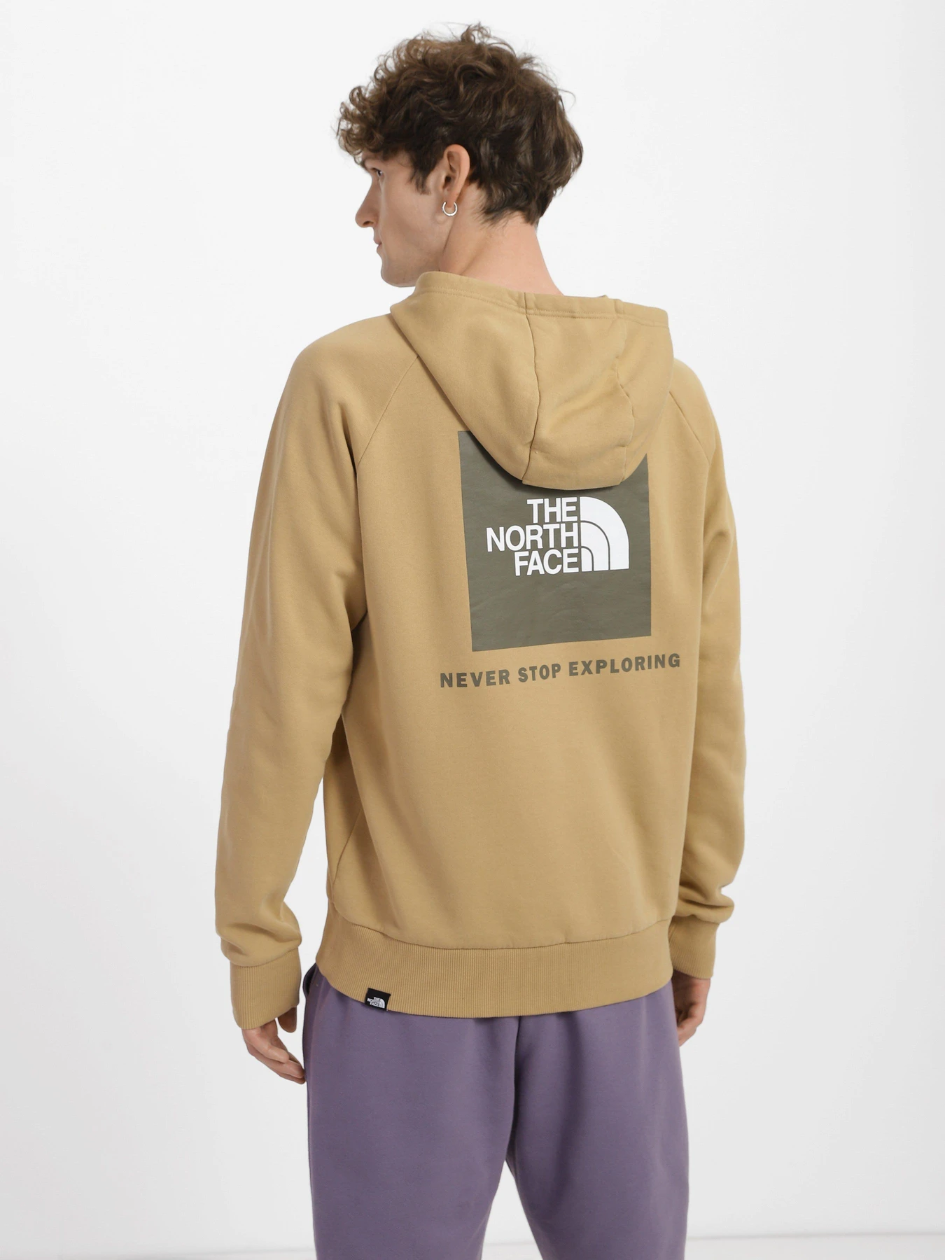 Худі та світшоти The North Face Redbox модель NF0A2ZWULK51 Фото