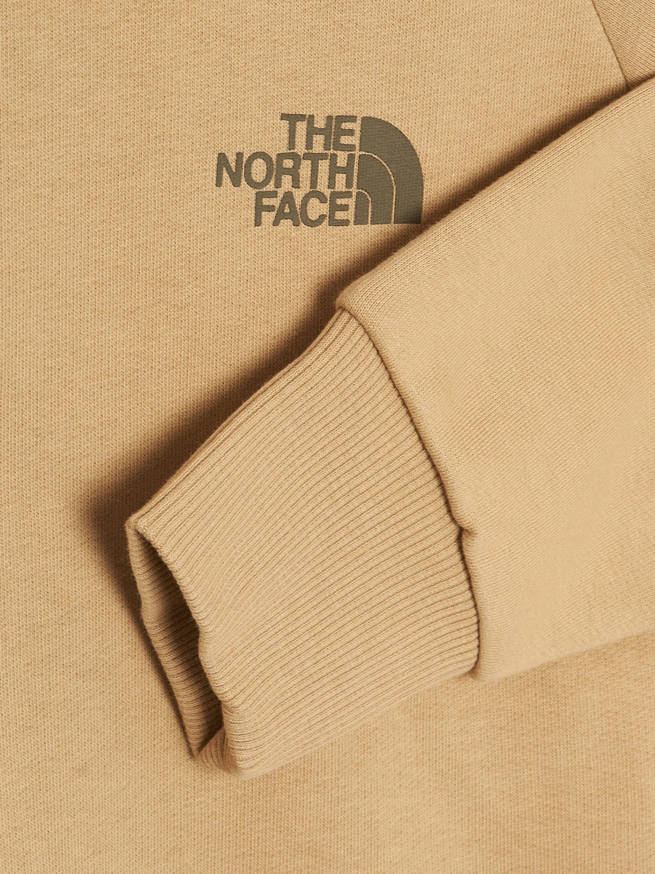 Худі та світшоти The North Face Redbox модель NF0A2ZWULK51 Фото