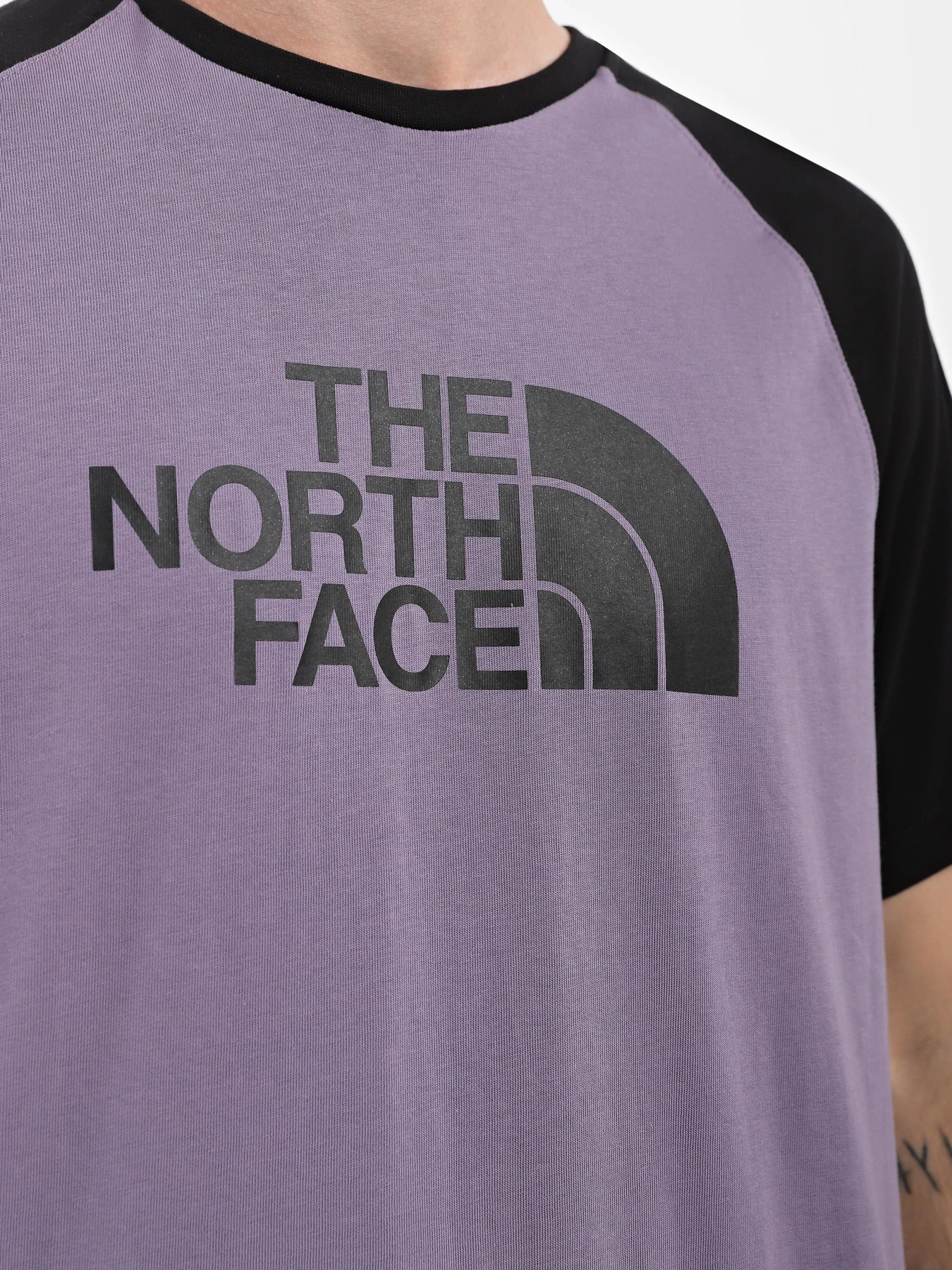 Футболки і поло The North Face Raglan Easy модель NF0A37FVN141 Фото