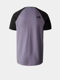 Футболки і поло The North Face Raglan Easy модель NF0A37FVN141 Фото