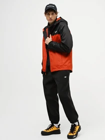 Куртки и дубленки The North Face Softshell Fornet модель NF0A3L5GSV61 Фото
