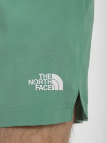 Шорты The North Face 24/7 модель NF0A3O1BN111 Фото