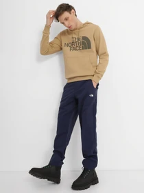 Брюки The North Face Tanken модель NF0A3RZY8K21 Фото