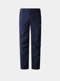 Брюки The North Face Tanken модель NF0A3RZY8K21 Фото