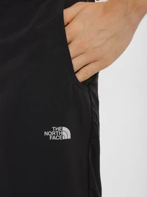Брюки The North Face Tanken модель NF0A3RZYJK31 Фото