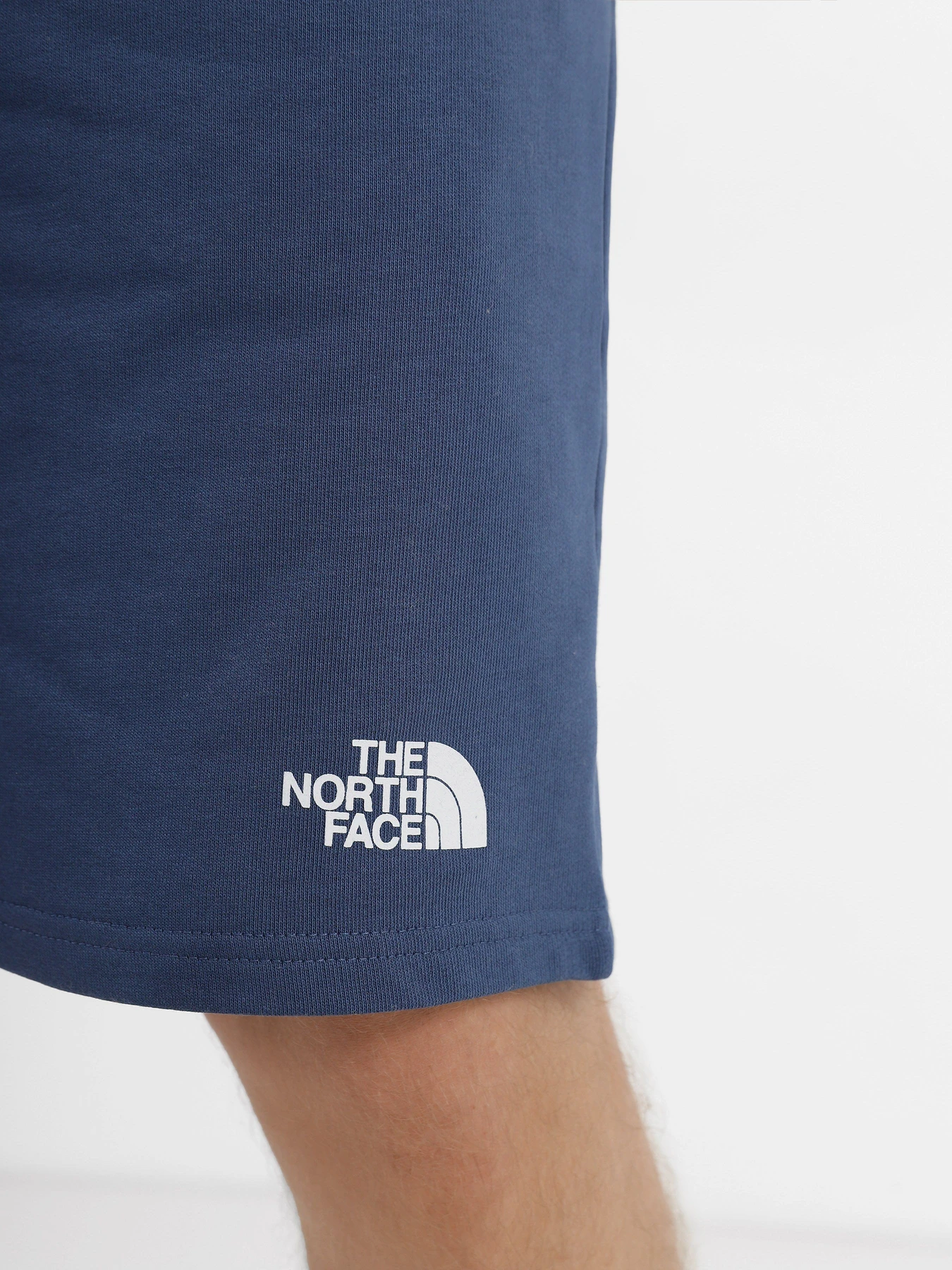 Шорты The North Face Standard модель NF0A3S4EHDC1 Шорты The North Face Standard модель NF0A3S4EHDC1 Фото