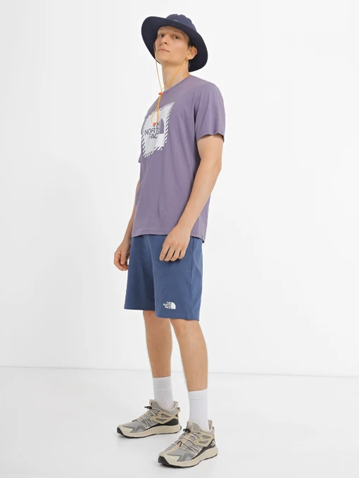 Шорты The North Face Standard модель NF0A3S4EHDC1 Фото