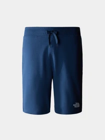 Шорты The North Face Standard модель NF0A3S4EHDC1 Фото