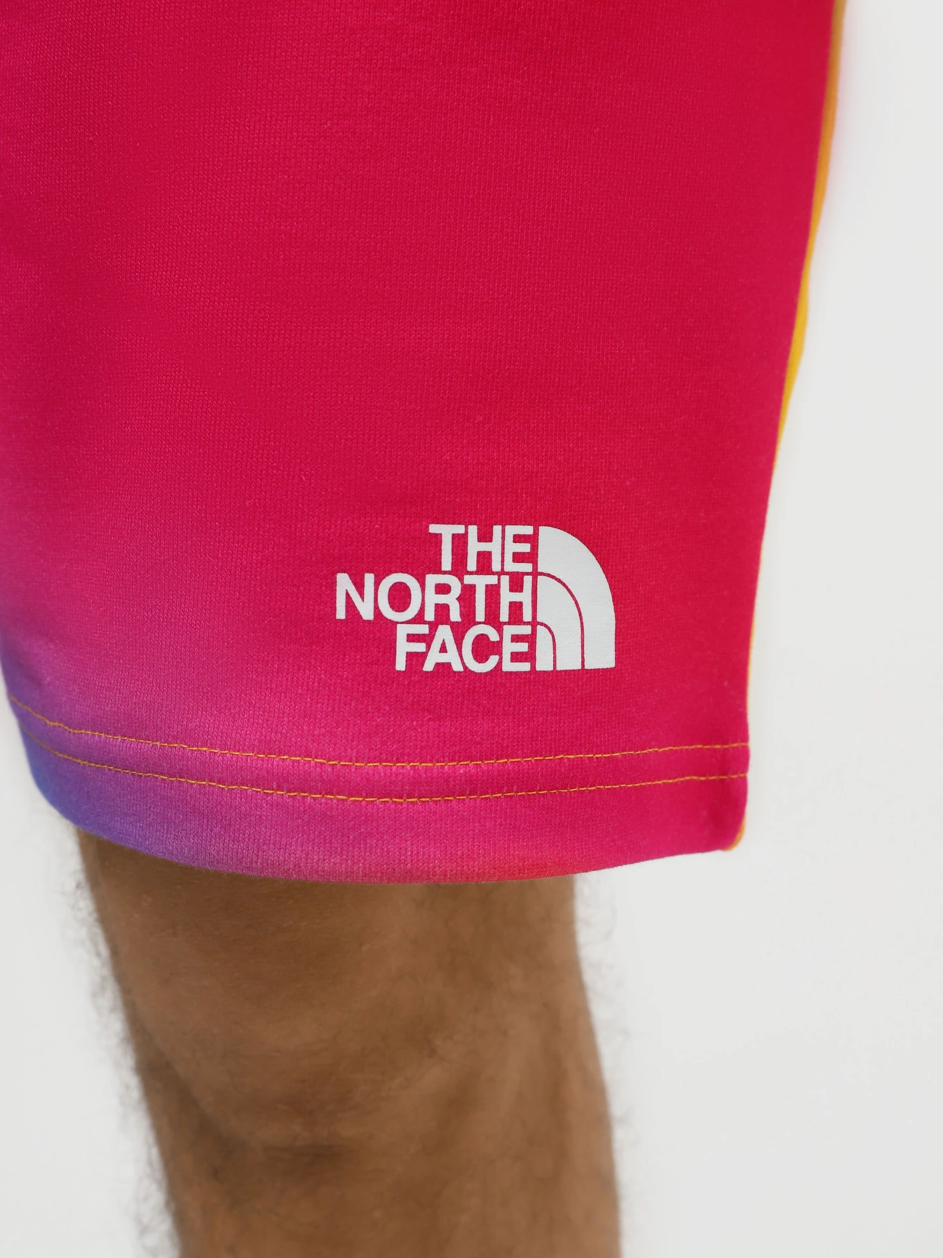 Шорты The North Face Standard модель NF0A3S4EIAX1 Фото