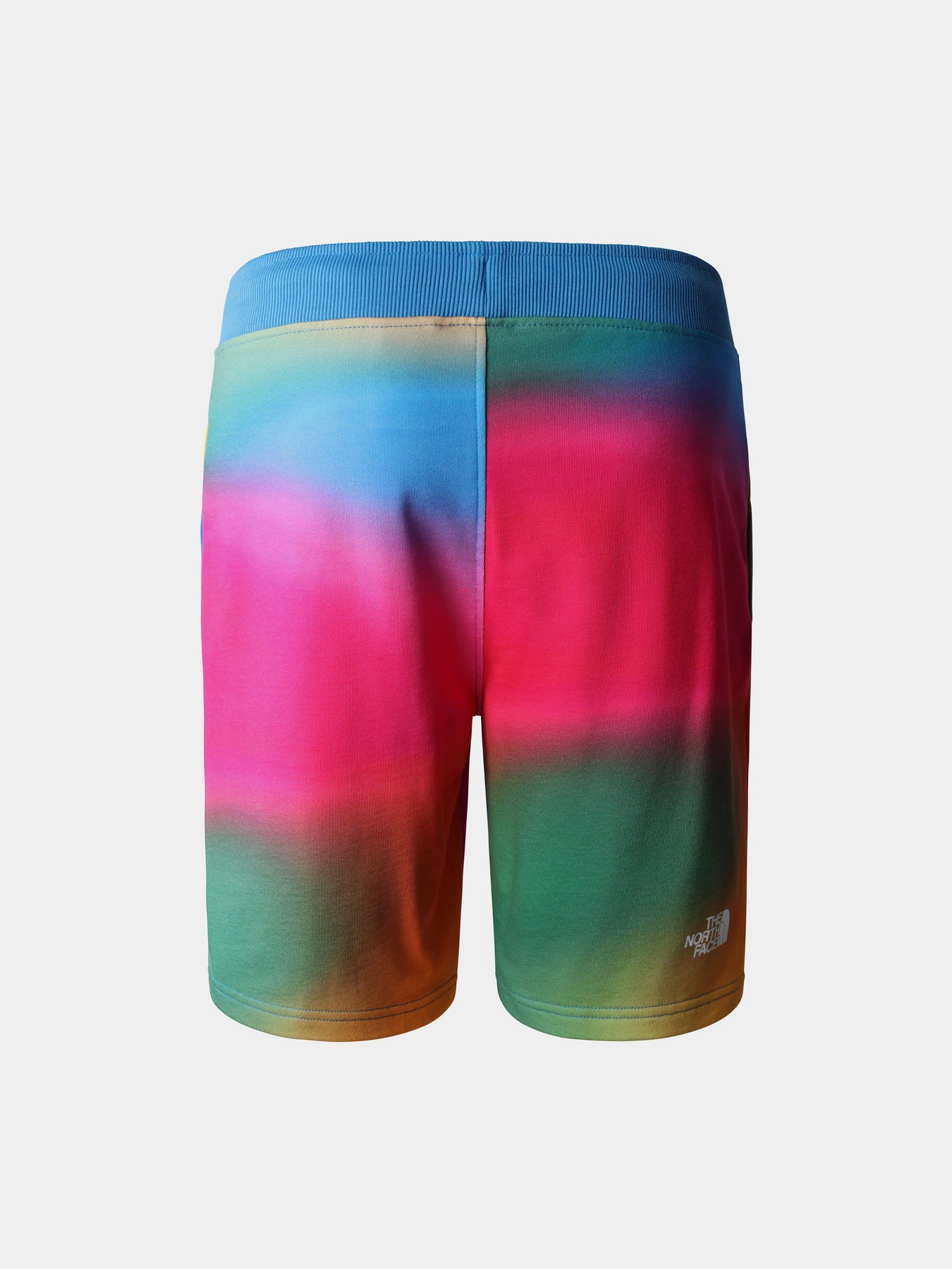 Шорты The North Face Standard модель NF0A3S4EIAX1 Фото