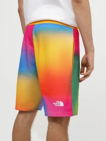 Шорты The North Face Standard модель NF0A3S4EIAX1 Фото