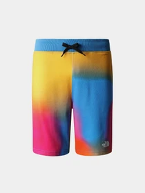 Шорты The North Face Standard модель NF0A3S4EIAX1 Фото