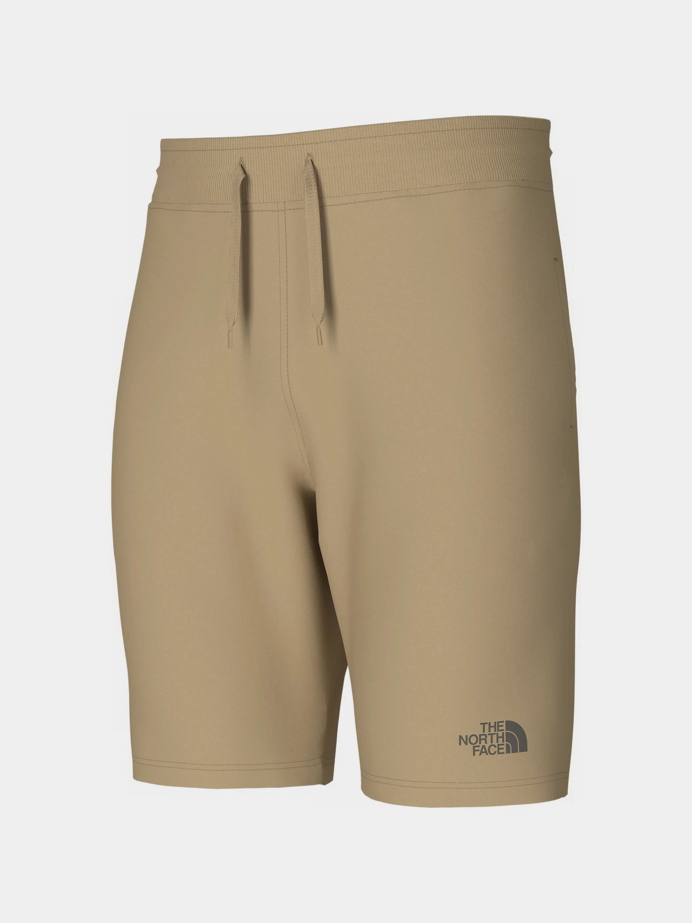 Шорты The North Face Standard модель NF0A3S4ELK51 Фото