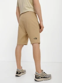 Шорты The North Face Standard модель NF0A3S4ELK51 Фото