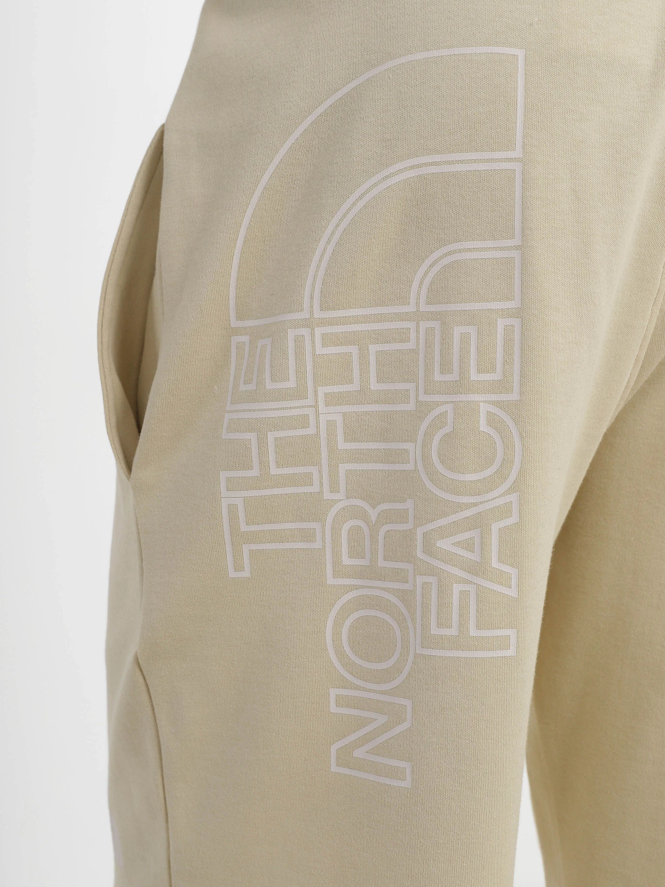 Шорти The North Face GRAPHIC модель NF0A3S4F3X41 Шорти The North Face GRAPHIC модель NF0A3S4F3X41 Фото