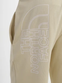 Шорти The North Face GRAPHIC модель NF0A3S4F3X41 Фото
