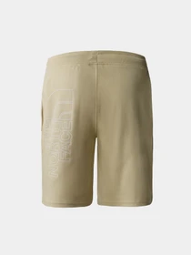 Шорти The North Face GRAPHIC модель NF0A3S4F3X41 Фото