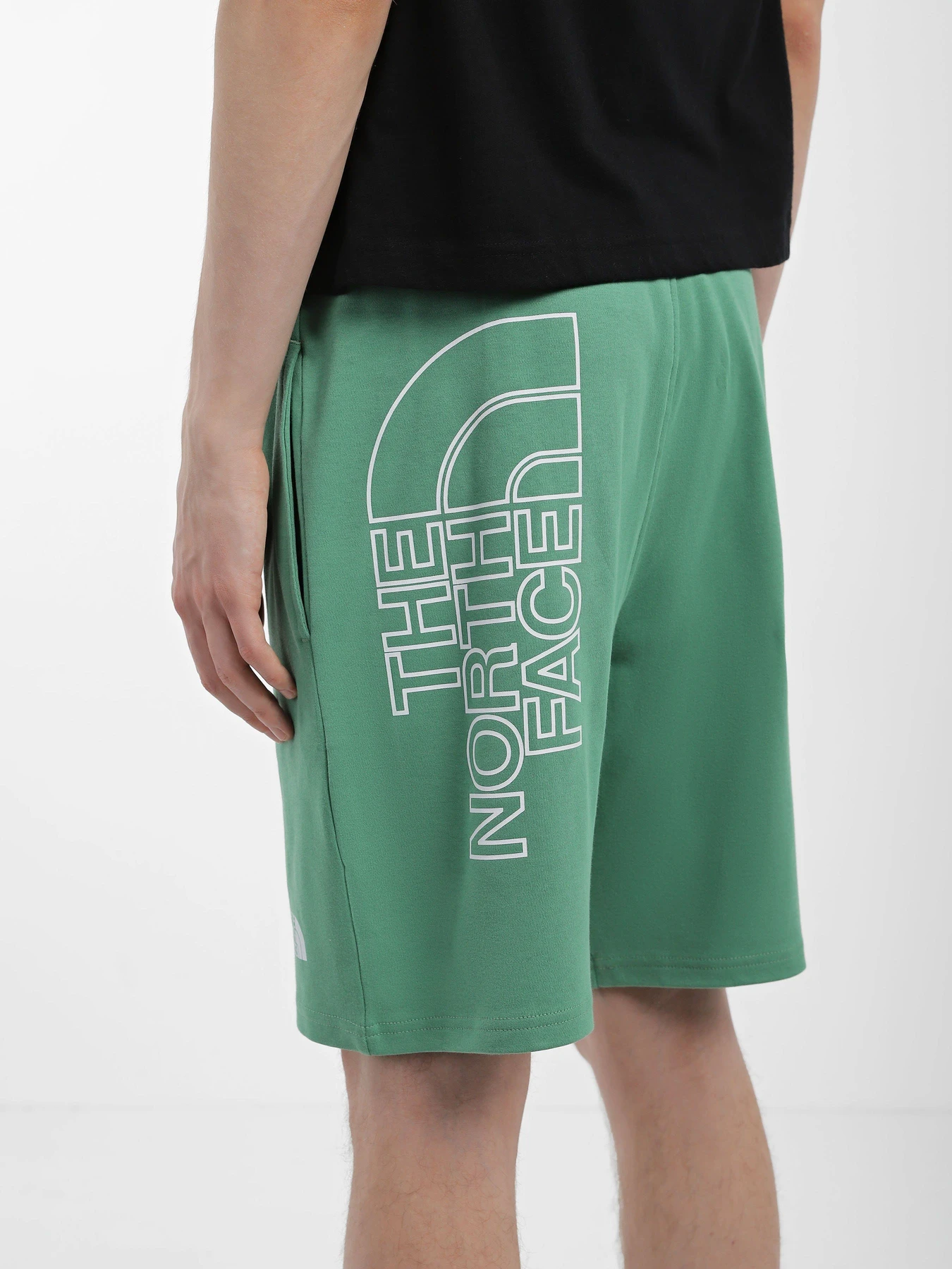 Шорты The North Face GRAPHIC модель NF0A3S4FN111 Шорты The North Face GRAPHIC модель NF0A3S4FN111 Фото