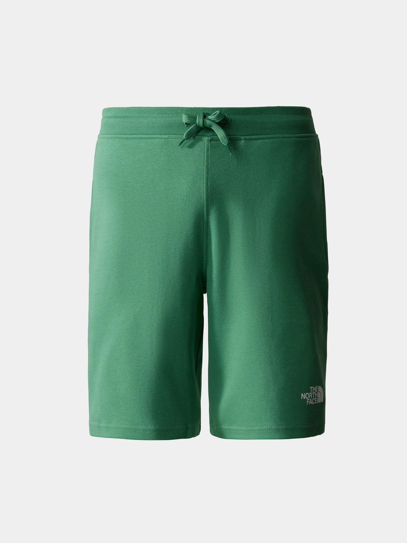 Шорты The North Face GRAPHIC модель NF0A3S4FN111 Шорты The North Face GRAPHIC модель NF0A3S4FN111 Фото