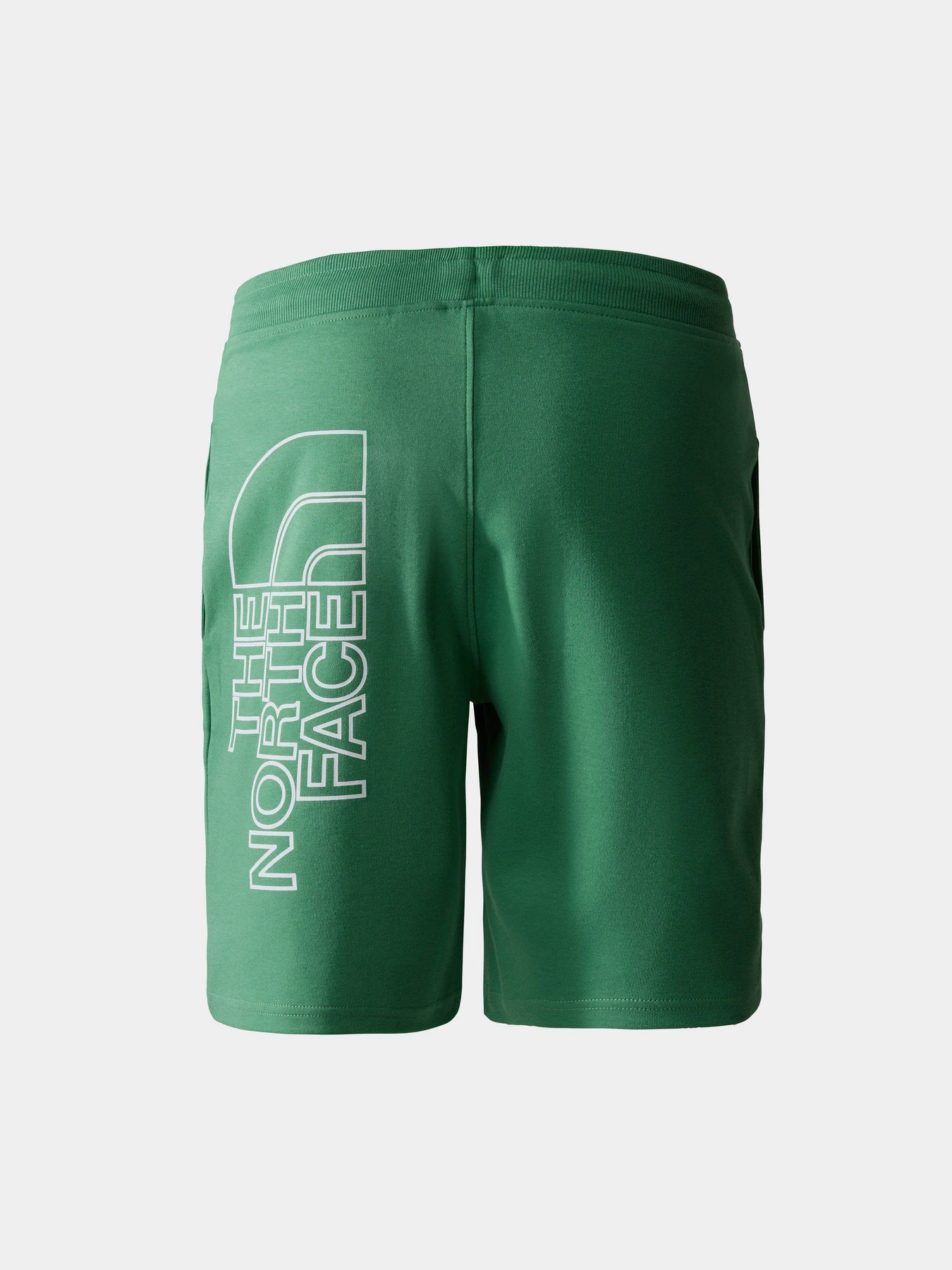 Шорты The North Face GRAPHIC модель NF0A3S4FN111 Шорты The North Face GRAPHIC модель NF0A3S4FN111 Фото