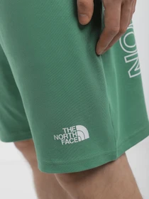 Шорты The North Face GRAPHIC модель NF0A3S4FN111 Фото