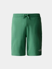 Шорты The North Face GRAPHIC модель NF0A3S4FN111 Фото