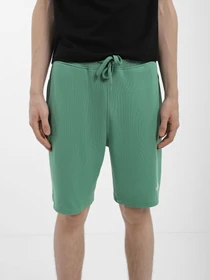 Шорти The North Face GRAPHIC модель NF0A3S4FN111 Фото