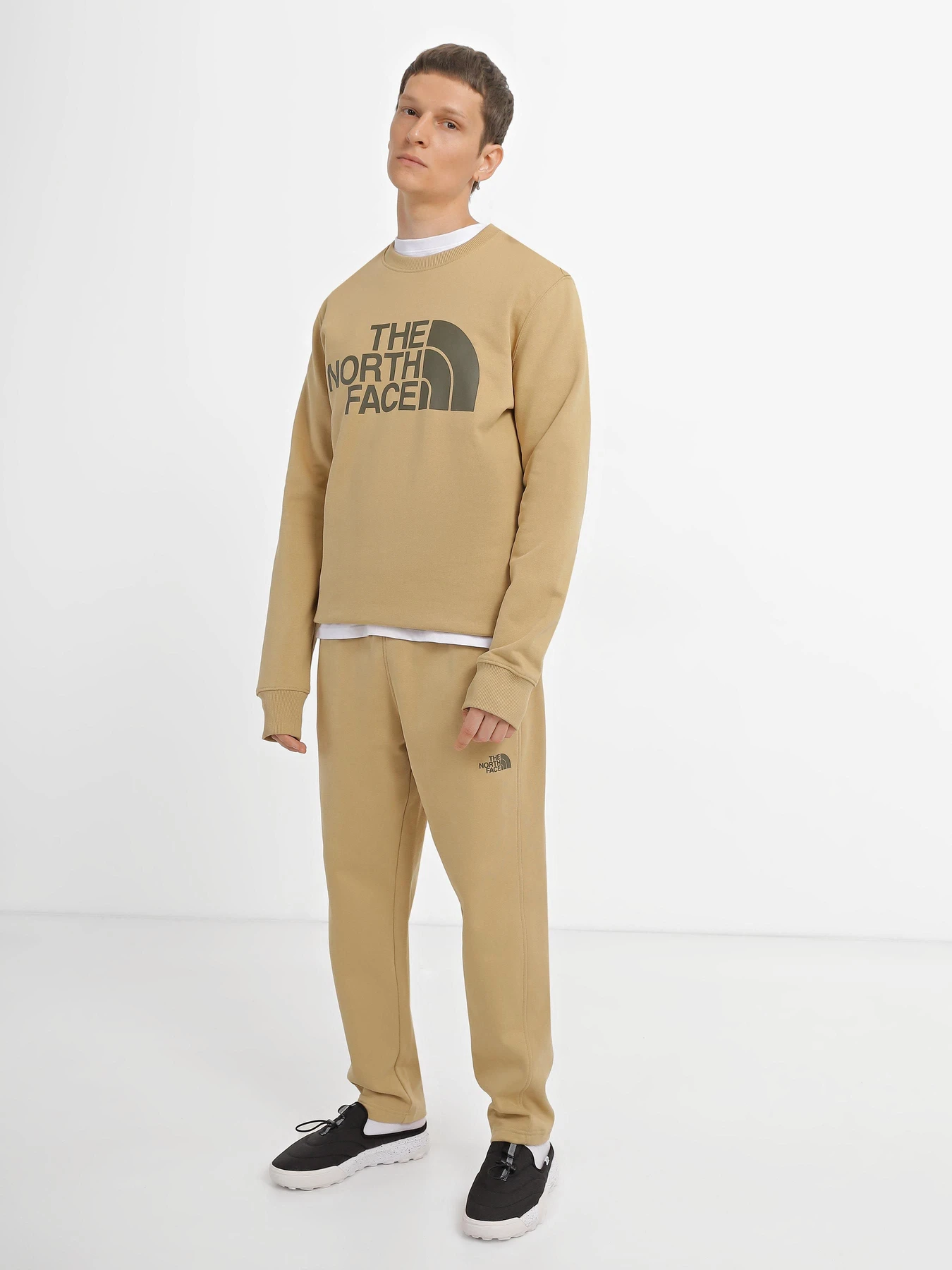 Худі та світшоти The North Face Standard модель NF0A4M7WLK51 Фото