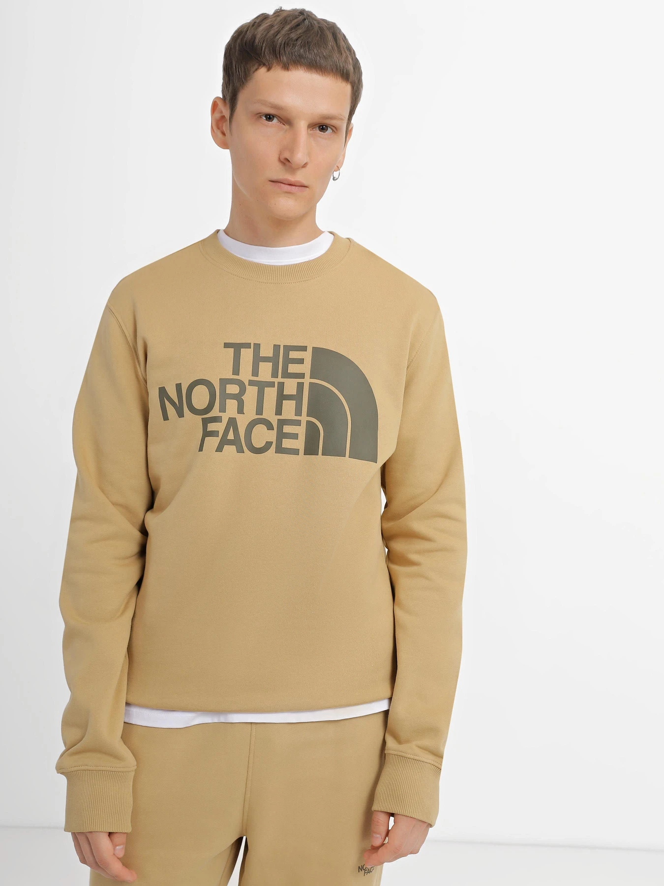 Худі та світшоти The North Face Standard модель NF0A4M7WLK51 Фото