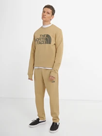 Худі та світшоти The North Face Standard модель NF0A4M7WLK51 Фото