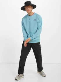 Худі та світшоти The North Face Red Box модель NF0A4SZ9IWO1 Фото